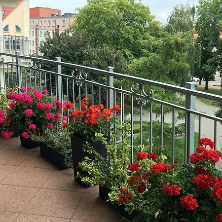 Apartament Polonia Ełk Eksteriør bilde